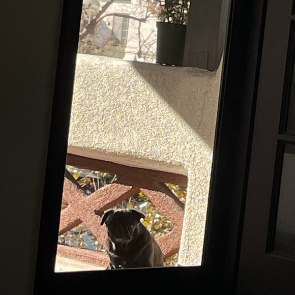 🌟🌟🌟🌟🌟 AMBASSADOR - Picture 16 of 16